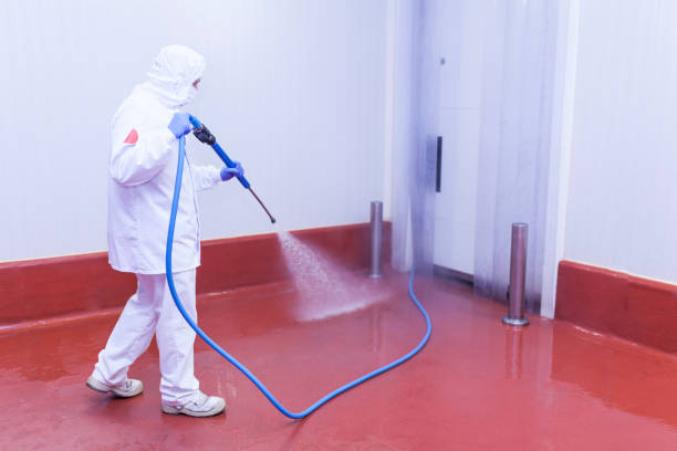 Best Commercial Pressure Washing in Ashton, ID